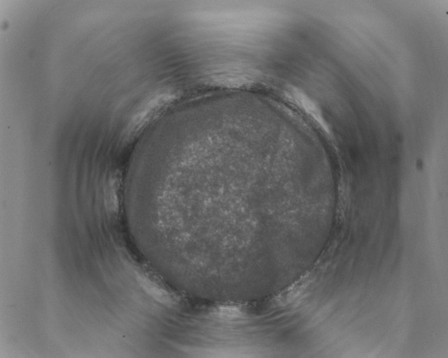 X0000088460114200706121514