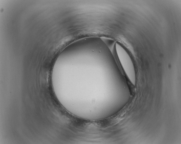 X0000088460115200706121514