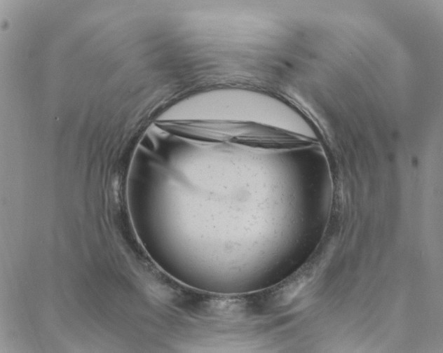 X0000088460117200706121514