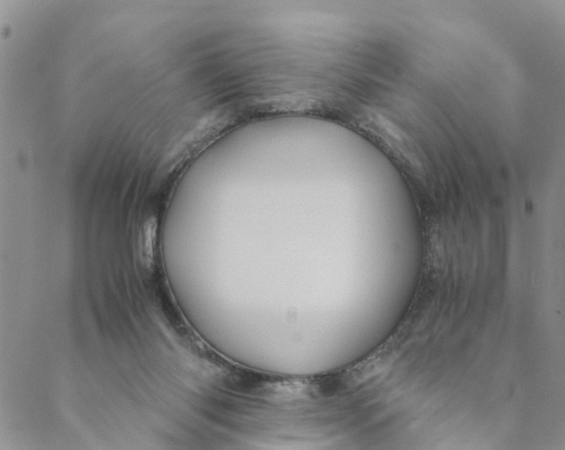 X0000088460118200706121514