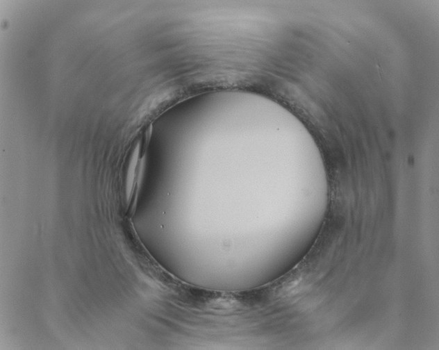 X0000088460119200706121514