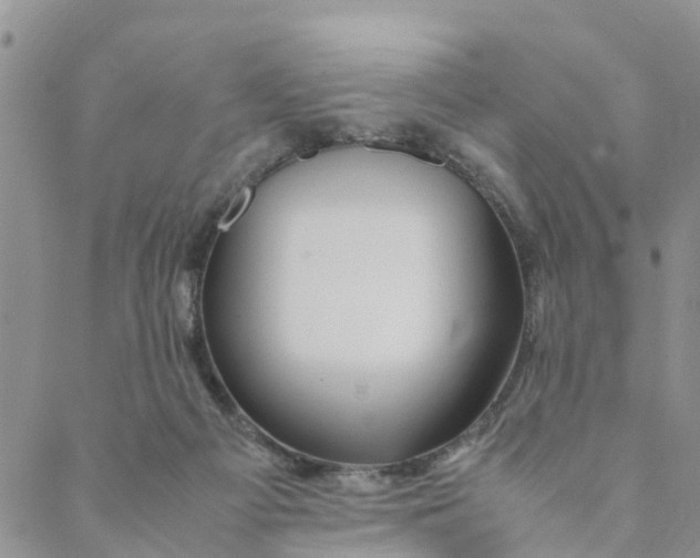 X0000088460121200706121514