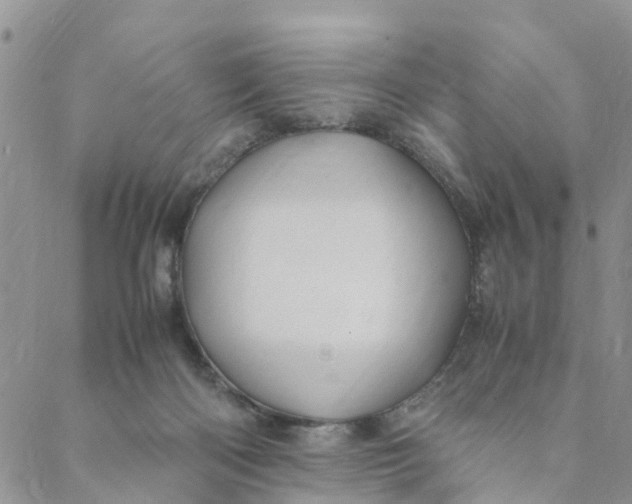 X0000088460122200706121514