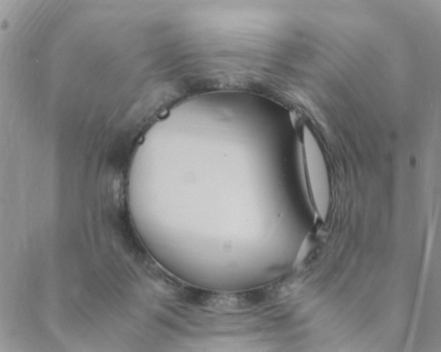 X0000088460123200706121514