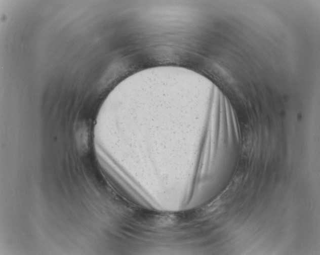 X0000088460124200706121514