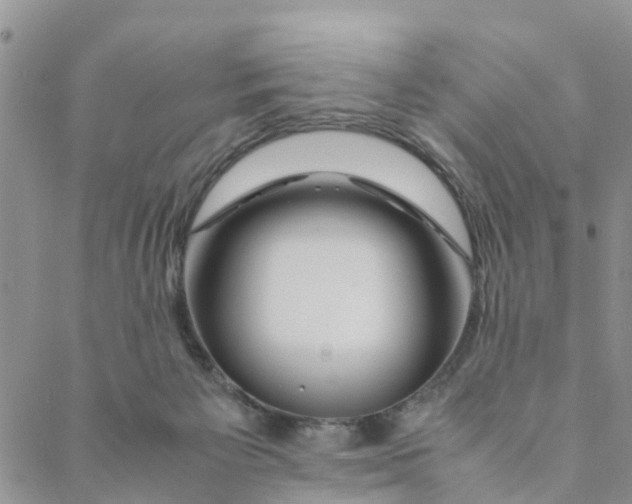 X0000088460125200706121514