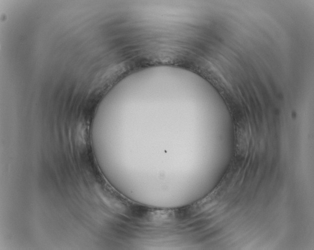 X0000088460126200706121514