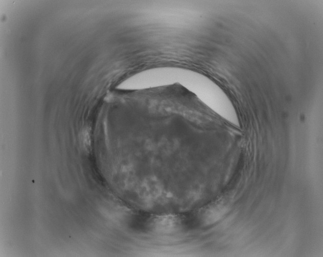 X0000088460127200706121514