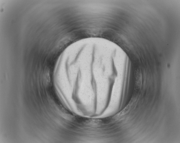 X0000088460128200706121514