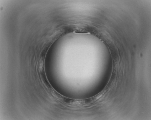 X0000088460129200706121514