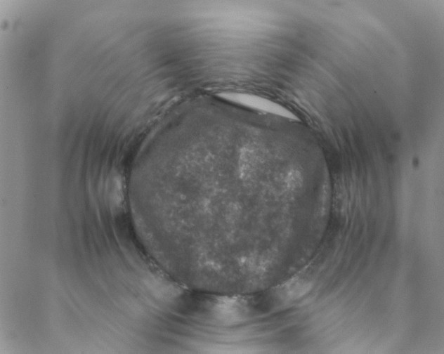 X0000088460130200706121514