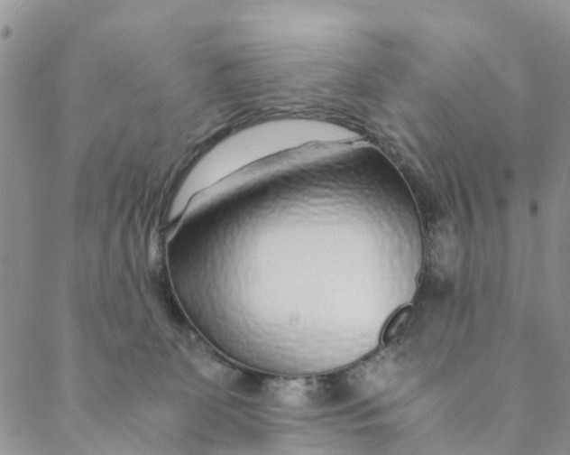 X0000088460131200706121514