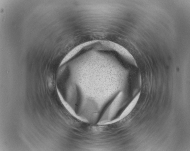 X0000088460134200706121514