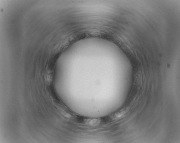 X0000088460135200706121514