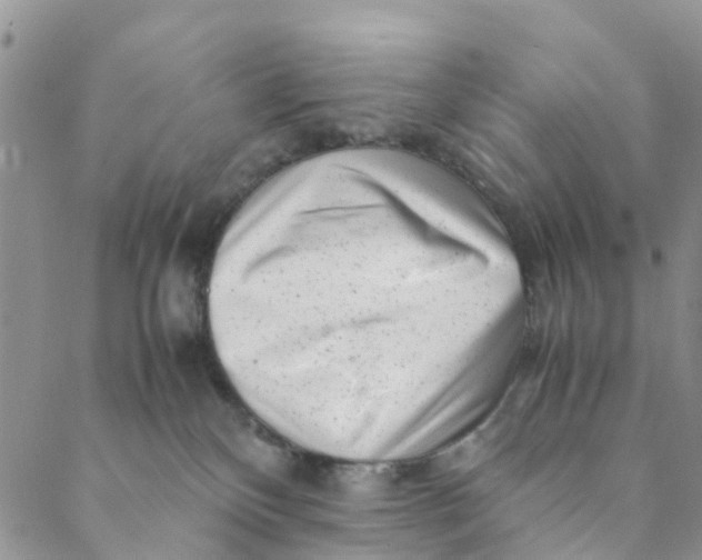 X0000088460136200706121514