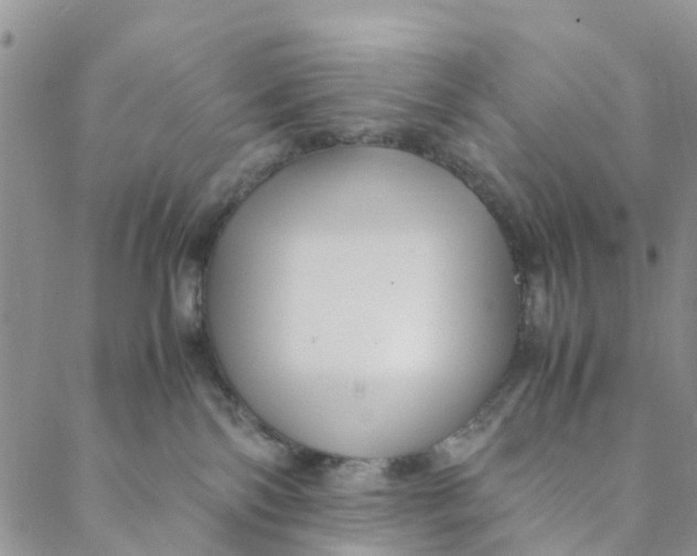 X0000088460138200706121514