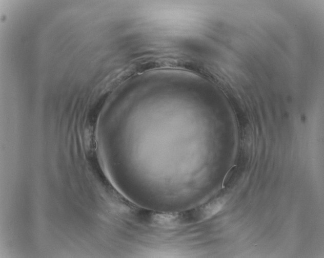 X0000088460139200706121514