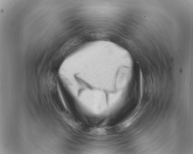 X0000088460140200706121514