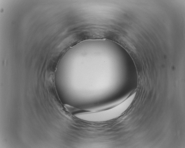 X0000088460141200706121514