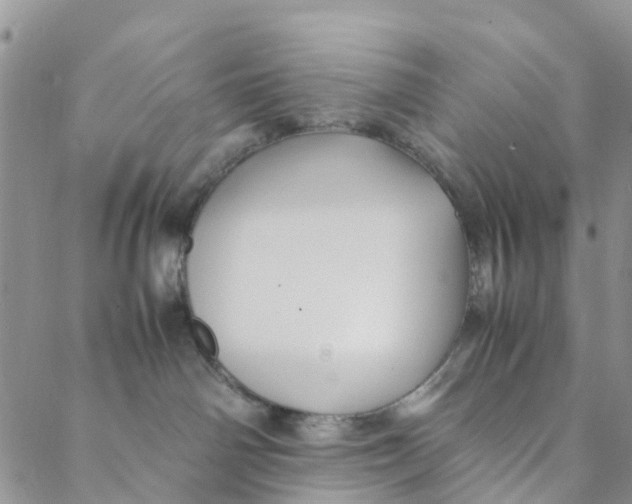 X0000088460142200706121513