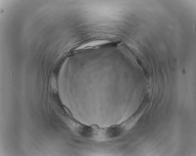 X0000088460143200706121513