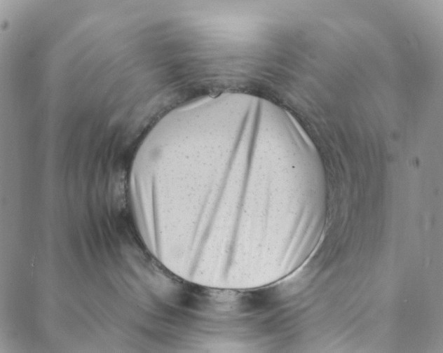 X0000088460144200706121513