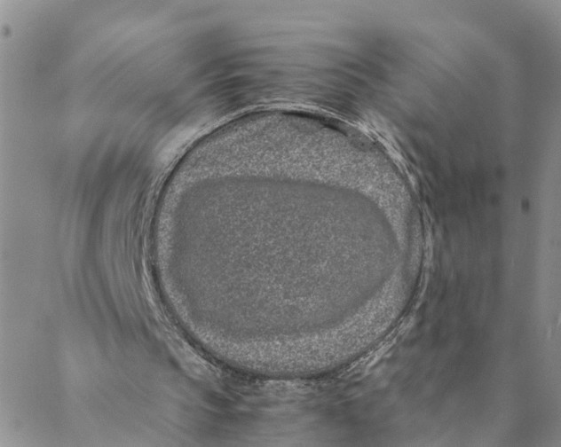 X0000088460145200706121513