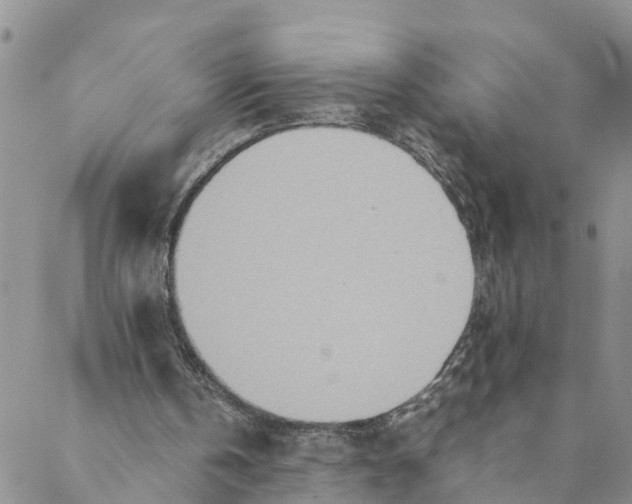 X0000088460146200706121513