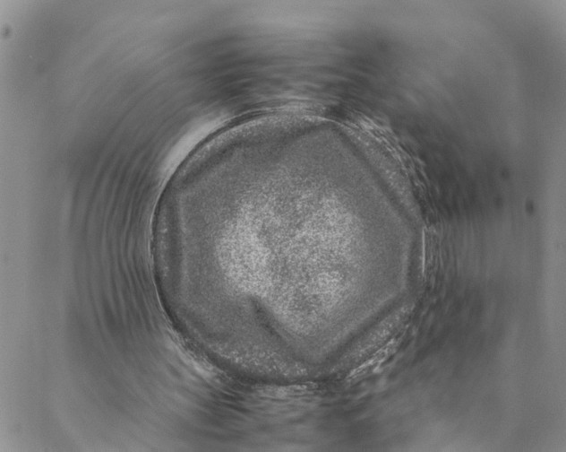 X0000088460147200706121513