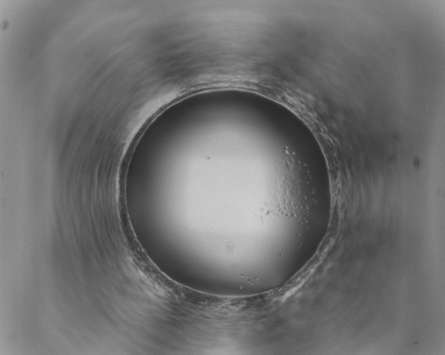 X0000088460148200706121513