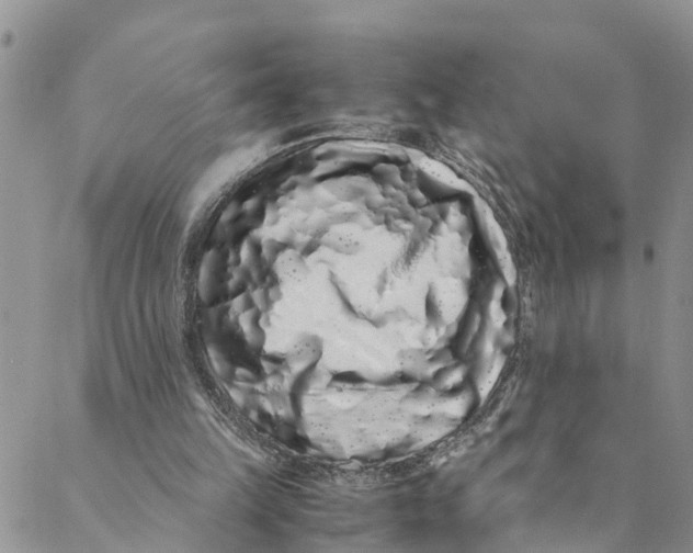 X0000088460149200706121513