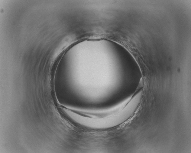 X0000088460150200706121513