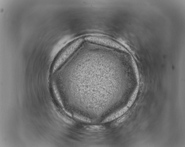 X0000088460151200706121513