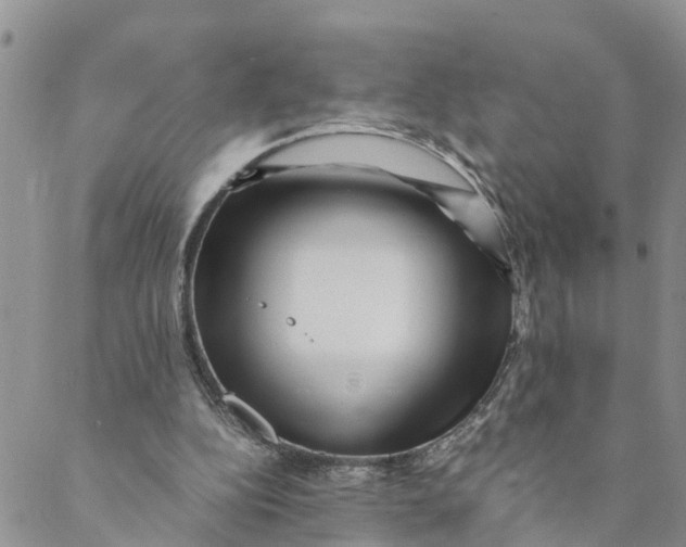 X0000088460152200706121513