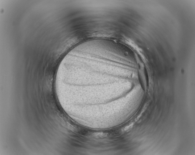 X0000088460153200706121513