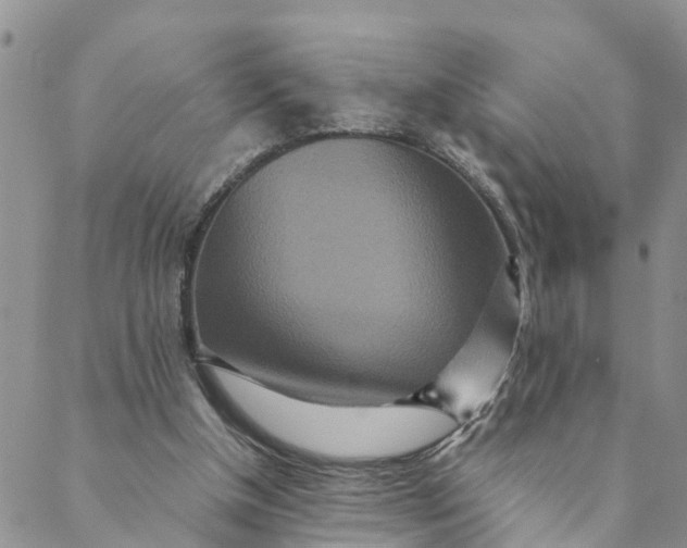 X0000088460154200706121513