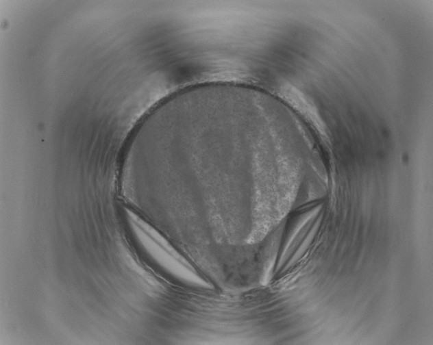 X0000088460156200706121513