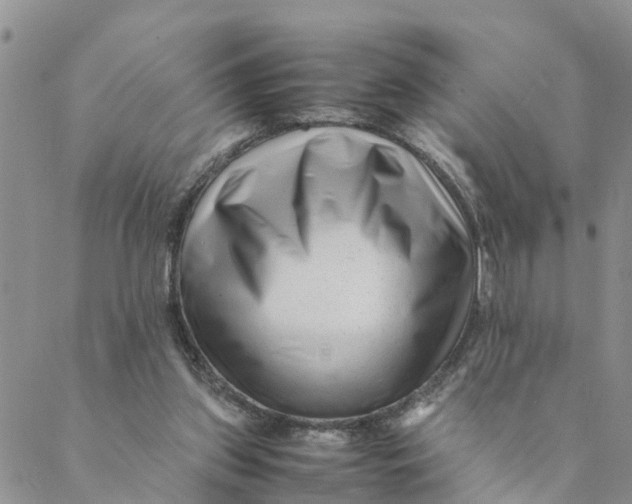 X0000088460157200706121513