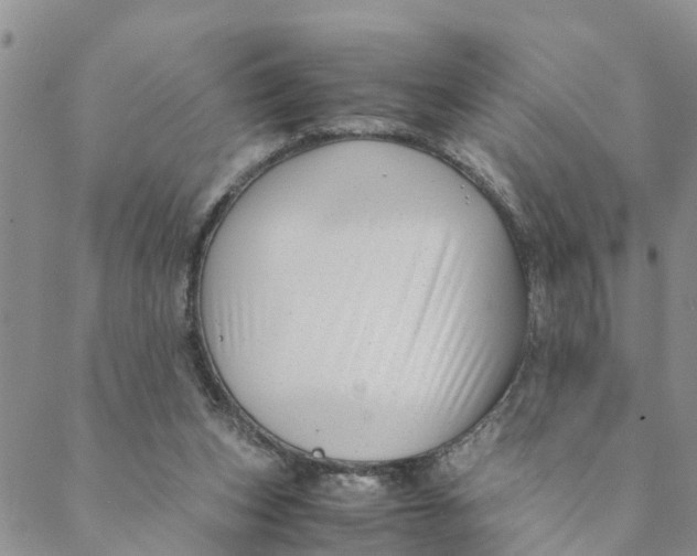 X0000088460159200706121513