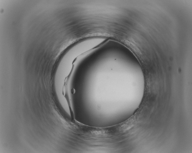 X0000088460160200706121513