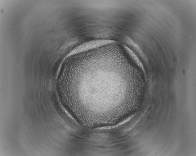 X0000088460161200706121513