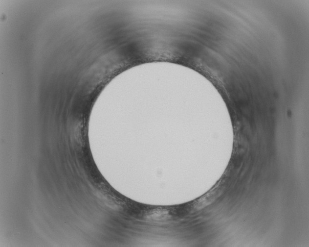 X0000088460162200706121513