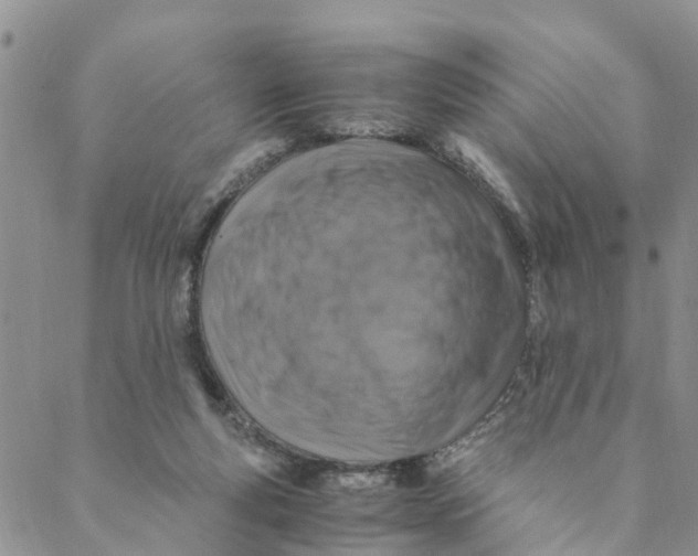 X0000088460163200706121513