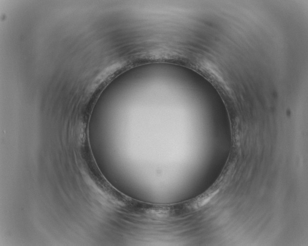 X0000088460164200706121513