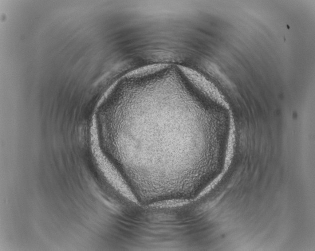 X0000088460165200706121513