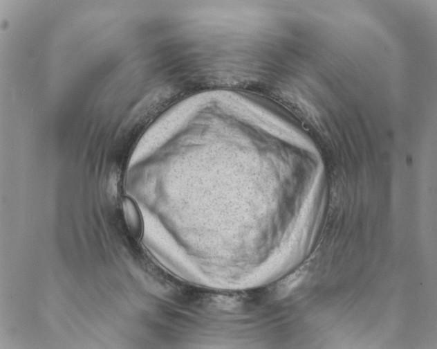 X0000088460166200706121513