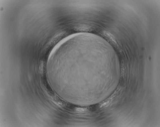 X0000088460167200706121513