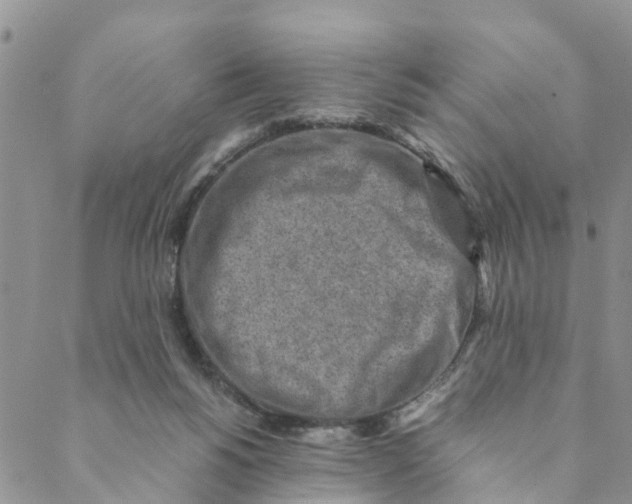 X0000088460168200706121513