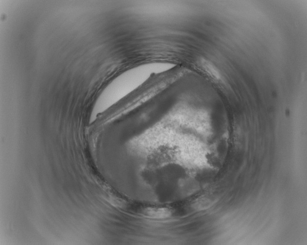 X0000088460169200706121513