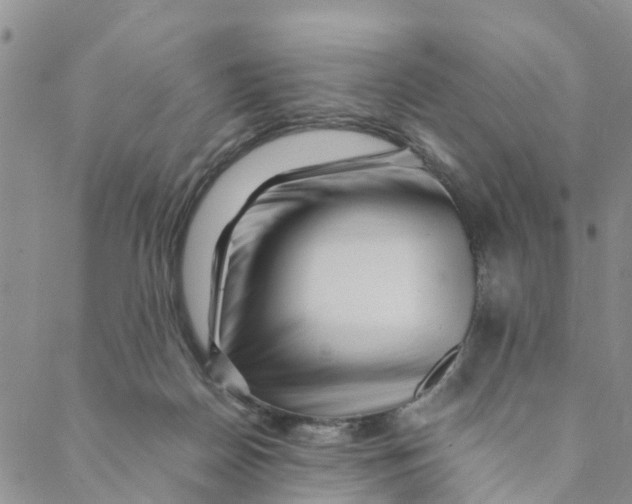 X0000088460170200706121513